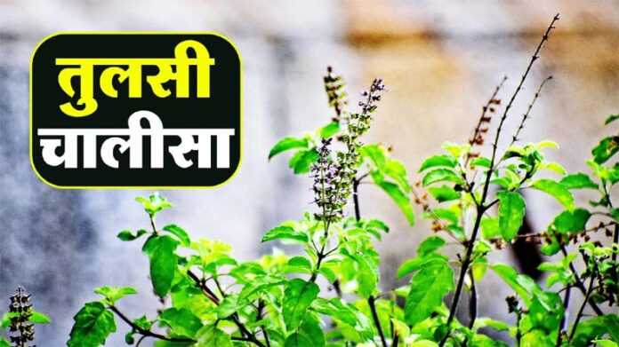 Kartik Month: कार्तिक माह में रोजाना करें इस चालीसा का पाठ