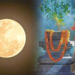 Sharad Purnima Upaay: शरद पूर्णिमा पर करें तुलसी से जुड़े उपाय, आर्थिक तंगी से मिलेंगी मुक्ति