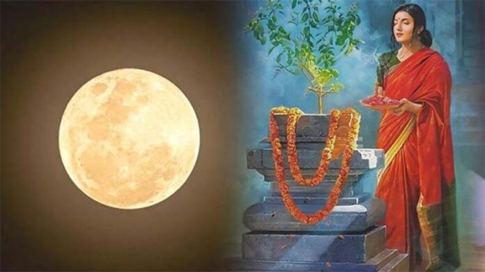 Sharad Purnima Upaay: शरद पूर्णिमा पर करें तुलसी से जुड़े उपाय, आर्थिक तंगी से मिलेंगी मुक्ति
