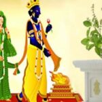 Tulsi Vivah: जानें कब है तुलसी विवाह?, पूजा विधि और धार्मिक महत्व