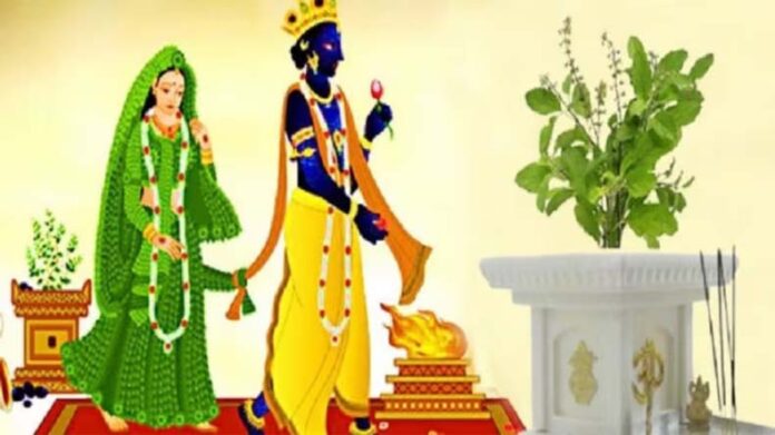 Tulsi Vivah: जानें कब है तुलसी विवाह?, पूजा विधि और धार्मिक महत्व
