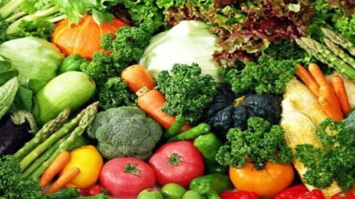 Vegetables Farming: नवंबर में इन 4 सब्जियों की करें खेती, कम लागत में अधिक मुनाफा होगा