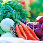 Gardening Tips: जानें छत पर बेकार पड़े कंटेनर में कैसे उगाएं अलग-अलग तरह की सब्जियां