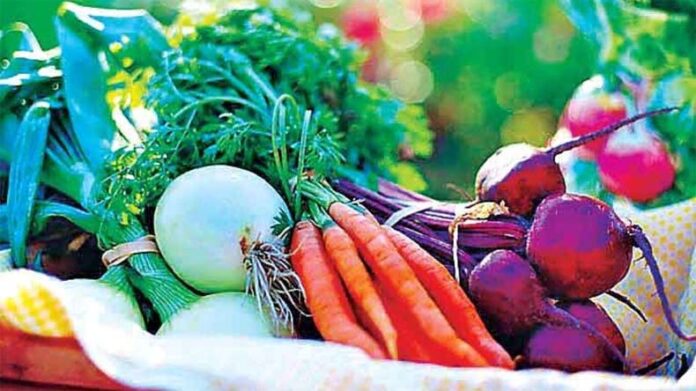 Gardening Tips: जानें छत पर बेकार पड़े कंटेनर में कैसे उगाएं अलग-अलग तरह की सब्जियां
