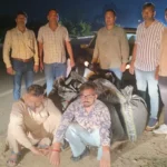 Jind News : कार से सौ किलोग्राम डोडा पोस्त बरामद, दो तस्कर काबू