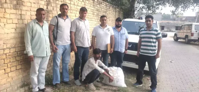 Jind News : 14.600 किलो ग्राम गांजा पत्ती के साथ एक चढ़ा पुलिस हत्थे