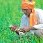 PM Kisan Yojana 21st Installment: PM किसान योजना 21वीं किस्त! दिवाली से पहले 2-2 हजार आएंगे या नहीं? ऐसे करें स्टेटस चेक