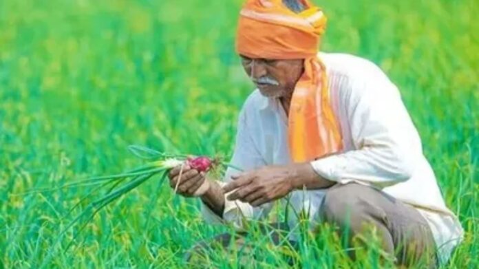 PM Kisan Yojana 21st Installment: PM किसान योजना 21वीं किस्त! दिवाली से पहले 2-2 हजार आएंगे या नहीं? ऐसे करें स्टेटस चेक