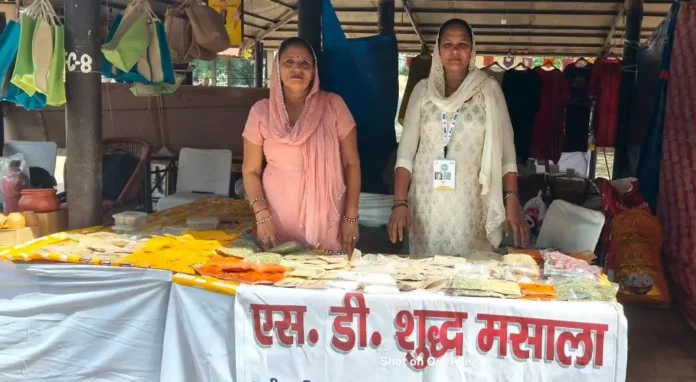 Surajkund Diwali Fair : मेला में उपलब्ध घर के तैयार मसाले, टेस्टी भी हेल्दी भी