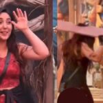 Bigg Boss 19: तान्या मित्तल पर फिर टूटा सितम! थप्पड़ के बाद अब टास्क में पड़ा लकड़ी का फट्टा
