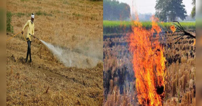 Decomposer Wettable Powder: हरियाणा में सरकार किसानों को फ्री में देगी डीकम्पोजर वेटेबल पाउडर, पराली जलाने के झंझट से मिलेगा छुटकारा