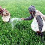 Haryana News : हरियाणा में केवल पंजीकृत किसानों को ही मिलेगा खाद