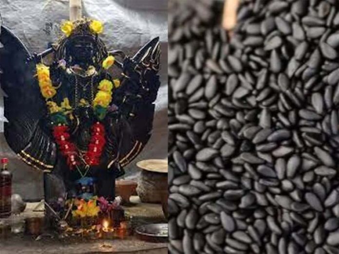 Shaniwar Upaay: शनिवार के दिन काले तिल से करें ये उपाय Shaniwar Upaay: शनिवार के दिन काले तिल से करें ये उपाय