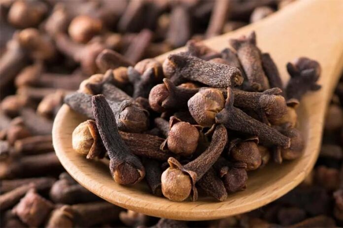 Somwar Upaay: धन संबंधित समस्याओं से मुक्ति पाने के लिए सोमवार को लौंग से करें ये उपाय Somwar Upaay: धन संबंधित समस्याओं से मुक्ति पाने के लिए सोमवार को लौंग से करें ये उपाय