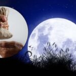 Margashirsha Purnima Daan: मार्गशीर्ष पूर्णिमा पर करें राशिनुसार दान