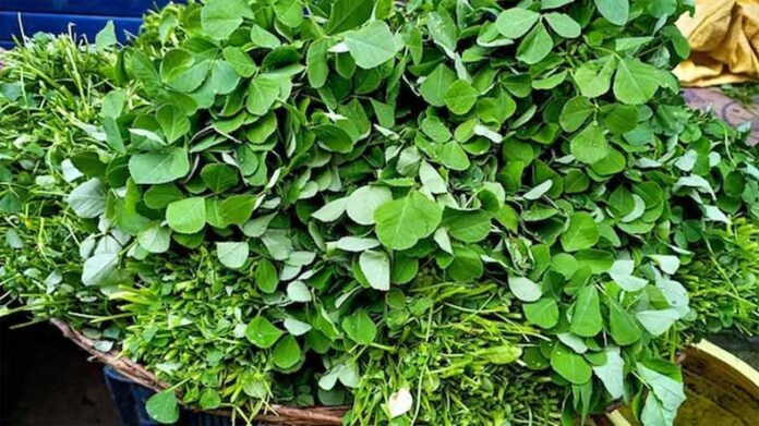 Methi Ka Saag: जानें सर्दियों में मेथी की सब्जी खाने के फायदे