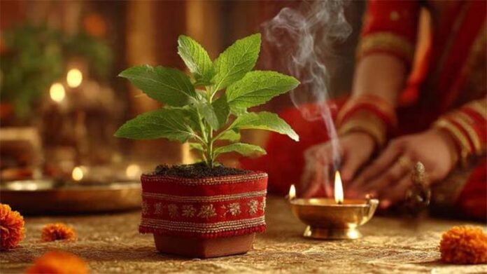 Mokshada Ekadashi: मोक्षदा एकादशी पर करें तुलसी चालीसा का पाठ Mokshada Ekadashi: मोक्षदा एकादशी पर करें तुलसी चालीसा का पाठ