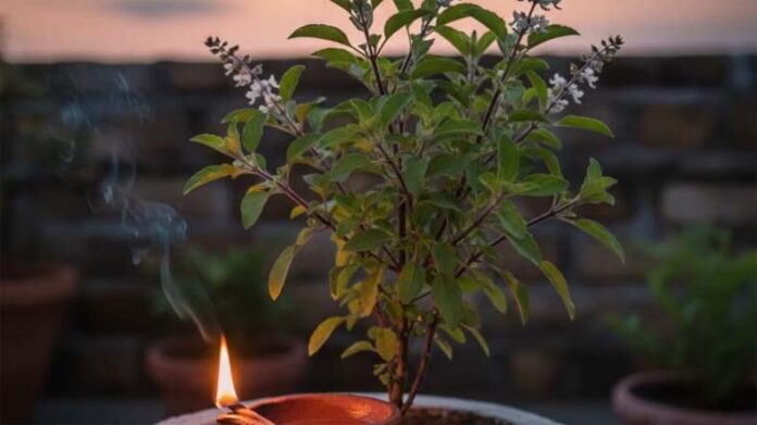 Mokshada Ekadashi Tulsi Puja: मोक्षदा एकादशी पर करें तुलसी से जुड़े उपाय
