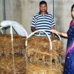 Mushroom Farming: घर-घर होगी मशरूम की खेती