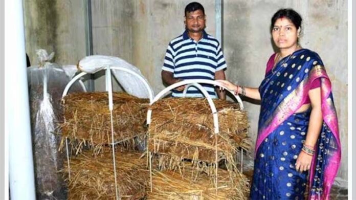 Mushroom Farming: घर-घर होगी मशरूम की खेती