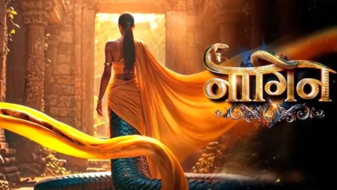 Naagin 7: कन्फर्म हुआ नाम! इस खूबसूरत अदाकारा पर एकता कपूर ने जताया भरोसा, बनीं नई नागिन – स्टार कास्ट का भी खुला राज