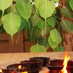 Pitra Dosh Upay: अमावस्या के दिन पीपल के पेड़ के नीचे जलाएं दीपक, पितृ दोष से मिलेगी मुक्ति