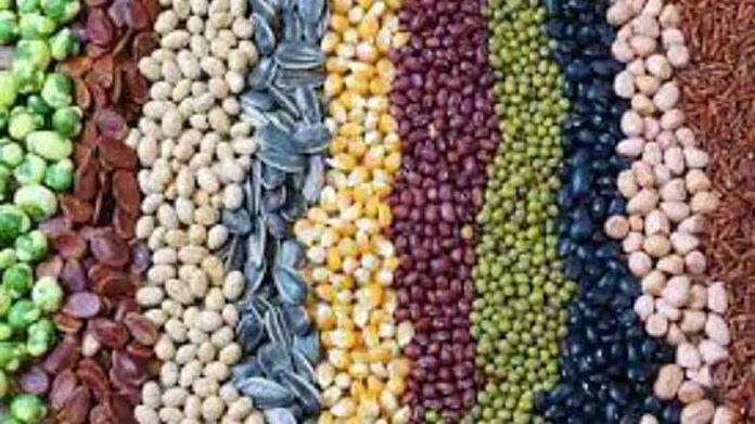Seeds Buying Tips: बीज खरीदते वक्त इन बातों कर रखें ध्यान Seeds Buying Tips: बीज खरीदते वक्त इन बातों कर रखें ध्यान