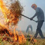 Punjab Pollution News : कई शहरों में खतरनाक स्तर तक पहुंचा प्रदूषण का स्तर