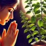 Utpanna Ekadashi Tulsi Niyam: उत्पन्ना एकादशी पर तुलसी से जुड़े इन नियमों का करें पालन