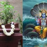 Utpanna Ekadashi Tulsi Puja: उत्पन्ना एकादशी पर करें तुलसी से जुड़े उपाय