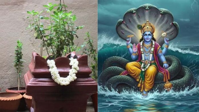 Utpanna Ekadashi Tulsi Puja: उत्पन्ना एकादशी पर करें तुलसी से जुड़े उपाय