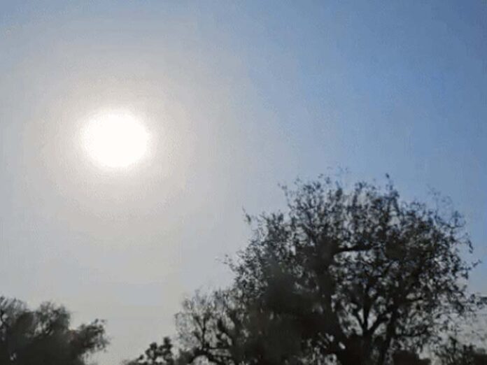 Haryana Weather Update: हरियाणा के हिसार की रात सबसे ठंडी