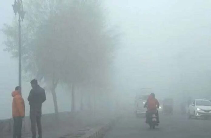 Haryana Weather Update: हरियाणा के 7 जिलों में शीत लहर का येलो अलर्ट
