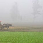 Haryana Weather Update: पश्चिमी विक्षोभ के कारण हरियाणा में आज रात से बदलेगा मौसम