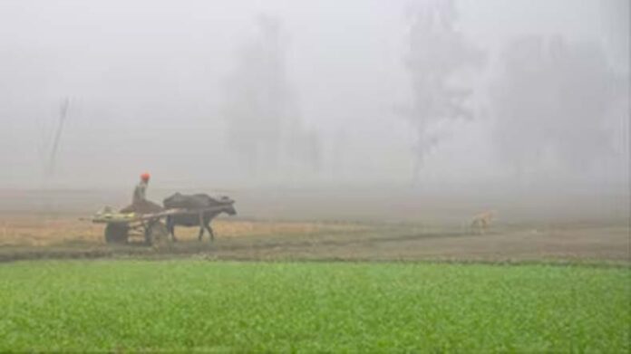 Haryana Weather Update: पश्चिमी विक्षोभ के कारण हरियाणा में आज रात से बदलेगा मौसम Haryana Weather Update: पश्चिमी विक्षोभ के कारण हरियाणा में आज रात से बदलेगा मौसम