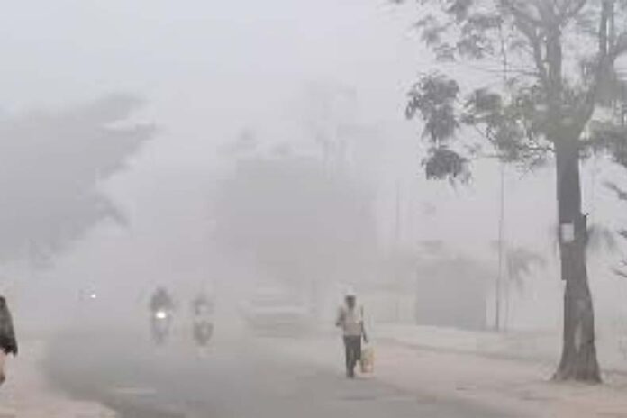 Haryana Weather Update: हरियाणा का नारनौल रहा सबसे ठंडा, कल से चलेंगी शीत लहर, बढ़ेंगी ठंड