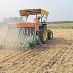 Wheat Farming Tips: जानें एक हेक्टेयर में गेहूं का कितना बीज बोएं
