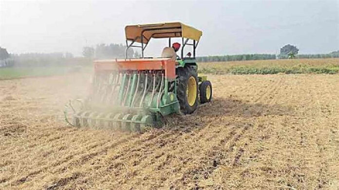 Wheat Farming Tips: जानें एक हेक्टेयर में गेहूं का कितना बीज बोएं