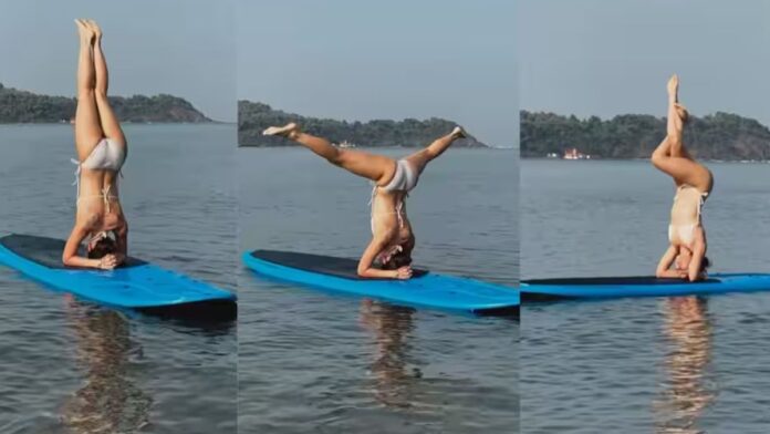 Alaya F Black bikini look: समंदर के बीच अलाया एफ का जलवा! बिकिनी में किया योगासन, पानी में लगाई हॉटनेस की आग 