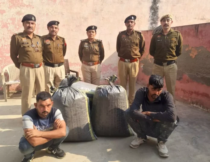 Smuggler Arrested : ट्रक से डोडा पोस्त की तस्करी करते दो काबू