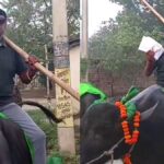 Bihar Assembly Elections 2025: भैंस पर सवार होकर वोट डालने पंहुचा शख्स, पूरे इलाके में बना चर्चा का विषय