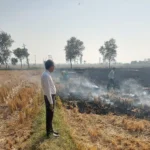 Jind News : धान के अवशेष जलने पर जिले के दस पुलिस कर्मचारी सस्पेंड