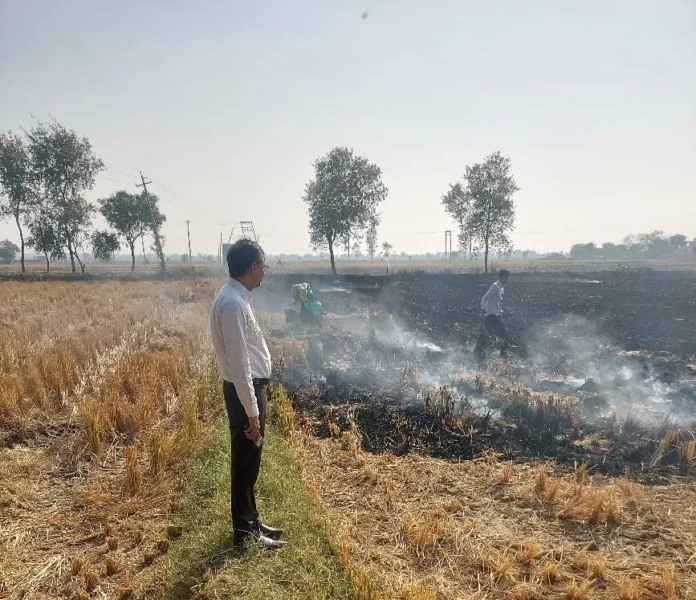 Ten police personnel of the district suspended for burning paddy residue Jind News : धान के अवशेष जलने पर जिले के दस पुलिस कर्मचारी सस्पेंड
