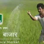 Agriculture and Farmers News : राष्ट्रीय कृषि बाज़ार प्लेटफ़ॉर्म का दायरा बढ़ा नौ नई कृषि वस्तुएँ जोड़ी