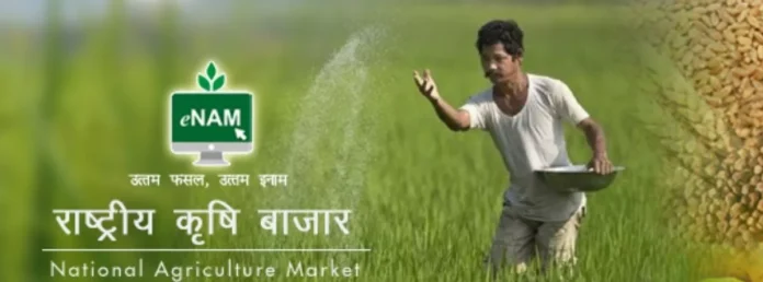 Agriculture and Farmers News : राष्ट्रीय कृषि बाज़ार प्लेटफ़ॉर्म का दायरा बढ़ा नौ नई कृषि वस्तुएँ जोड़ी