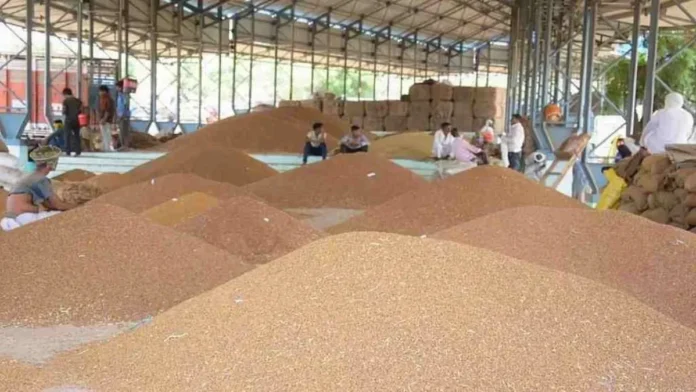 Haryana News: किसानों का गेमचेंजर! QR गेट पास ऐप लॉन्च, धान बेचो बिना लाइन