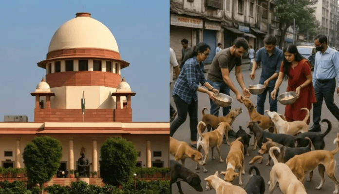 supreme-court-stray-dogs-and-animals-should-be-removed-from-hospitals-schools-colleges-and-other-public-places