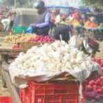 Garlic And Ginger Prices : बढ़ती सर्दी का असर : मंडी में चढ़े लहसुन और अदरक के दाम, लोग लहसुन डालने में परहेज करने लगे