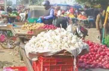 Garlic And Ginger Prices : बढ़ती सर्दी का असर : मंडी में चढ़े लहसुन और अदरक के दाम, लोग लहसुन डालने में परहेज करने लगे Garlic And Ginger Prices : बढ़ती सर्दी का असर : मंडी में चढ़े लहसुन और अदरक के दाम, लोग लहसुन डालने में परहेज करने लगे