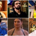 Bigg Boss 19 Grand Finale: ट्रॉफी से बस एक कदम दूर! ग्रैंड फिनाले की पूरी डिटेल्स देखें यहां
